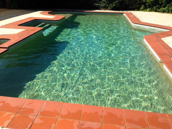 Pool is clean after opening