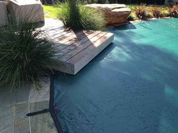 Green leaf cover on Jetty Pool
