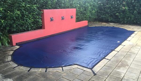 Blue leaf cover fits perfectly to feature wall