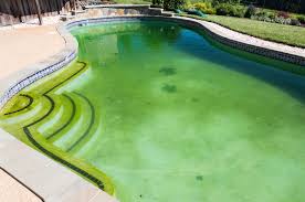 pool water green